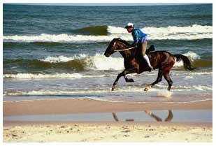 ������� �� ������ �� �������� ����